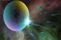 死精症试管成功率探秘：年龄之外，还有哪些关键因素？