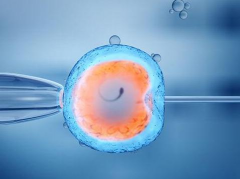 揭秘二代试管移植，探索最适宜的胚胎数目选择！
