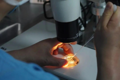 三代试管流程揭秘：取卵后静待3至5日，迎接胚胎移植关键时刻