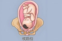 试管可以决定性别吗?试管过程痛苦吗?