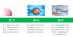 宁波三代试管技术：安全、健康与成功率的全面剖析！