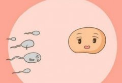 试管第三代技术有哪些新内容？黄山试管第三代一般多少钱？