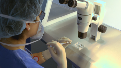 美国试管费用全解析，五大流程详解与费用概览