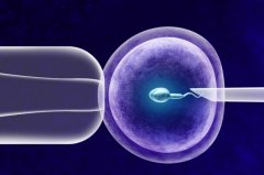 试管私人机构与传统医院有何区别？