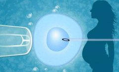 <b>一文理解美国生命试管中心的10大流程</b>