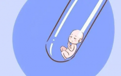 银川供卵试管生殖医院综合评估，成功率亮点与潜在风险深度解析