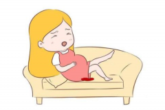 试管移植冻胚前服用补佳乐出血，原因剖析与应对策略全指南