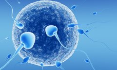 试管移植鲜胚提高成功率，还存在这些利弊