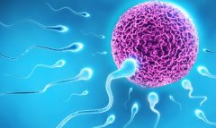 子宫内膜厚度影响试管成功率，如何增加子宫内膜厚度？