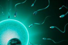 为什么女性年龄在做试管时有限制？如何延缓生育年龄限制？