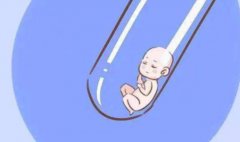 试管着床后免疫系统会调整,还有这些方面发生变化
