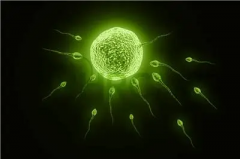 江苏三代试管：性别选择新篇章，精选医院推荐，解锁个性化生育奥秘