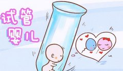 呼和浩特试管的价格影响因素，如何选择试管医院？