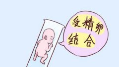 一文了解陕西试管助孕的方法及风险