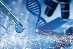 广西试管费用全览：详尽解析费用构成，并分享降低成本的实用策略！