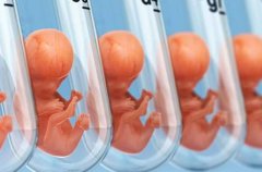 河北试管辅助治疗费用，试管手术后的医疗费用