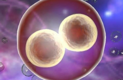 河南省生殖妇产医院三代试管价格是多少，费用成功率一次性说明