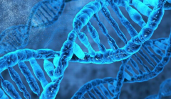 洛阳妇幼保健院三代试管费用与最新成功率一览