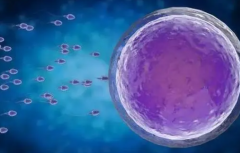 国内试管成本解析：附借卵生'男'孩详细费用指南！