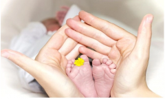 太原试管费用全解析：最新花费明细指南，助您明明白白规划生育之路