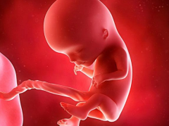 南昌市试管费用概览：探究高价背后的三大核心价值与优势