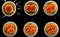 三代试管龙凤双胎费用大揭秘：明细清晰，惊喜发现费用竟与单胎相近