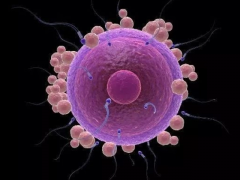 合肥三代试管单周期价格大公开，并与其他城市费用横向对比，助您明