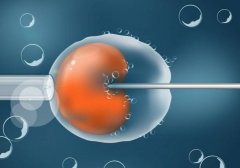 哈尔滨三代试管费用明细，哈尔滨三代试管的费用变动因素