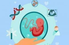 齐鲁医院三代试管费用的因素，三种不同的试管治疗方案