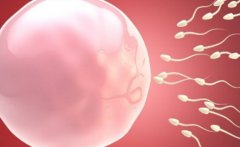 徐州试管费用介绍，平均花费大约在10万元至30万元之间