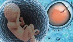 赣州第三代试管技术介绍，如何提高赣州第三代试管成功率？