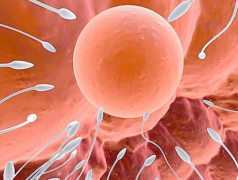 西安试管助孕套餐价格及费用明细全解析