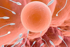 徐州试管费用详解及不同医院价格对比一览表