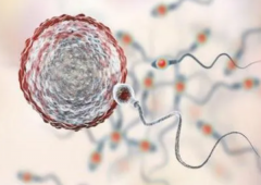 长春医院做试管需要多少钱？附上收费明细与详细流程