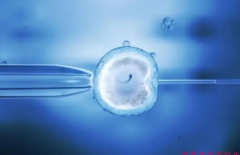 辽宁省二院做试管的价格详解及收费标准