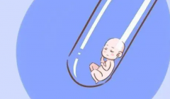 北京供卵试管费用探究：高昂背后的多重因素