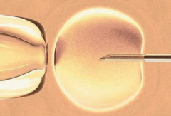 南宁三代试管技术解析：能否定制性别及费用一览！