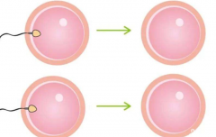 内蒙古人民医院试管全面费用明细整理