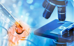 常德第一人民医院试管费用全览：详尽项目收费标准，助您明明白白助