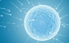 兰州试管医院哪家好，2024兰州试管医院排名介绍