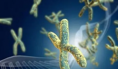 三代试管技术不便宜？重庆地区一次费用全解析！