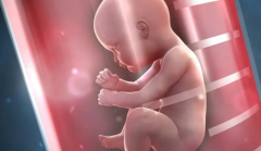 沈阳四院试管费用大揭秘，想要孩子的你不可错过！