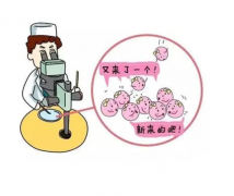上海试管医院技术排名前三强揭晓，助您轻松实现育儿梦！