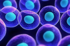 泰国试管遗传病筛查攻略，附费用明细