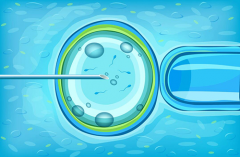 新余妇幼保健院试管费用透明公示：新余试管价格明细为孕育之路保驾
