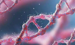 重庆妇婴医院试管费用与流程，助你少走弯路，一步到位