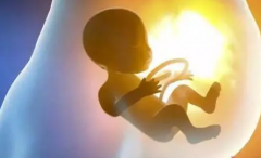 马来西亚试管：价格揭秘，20万起是否值得？