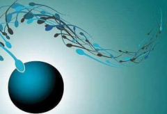 从数据看甘美国际医院试管：2023年成功率与费用深度剖析