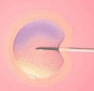 河南圣德医院试管价格公示，全面解析费用构成与收费标准