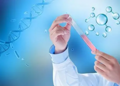 新加坡试管，揭秘成功率与费用参考，为您的生育之路导航！